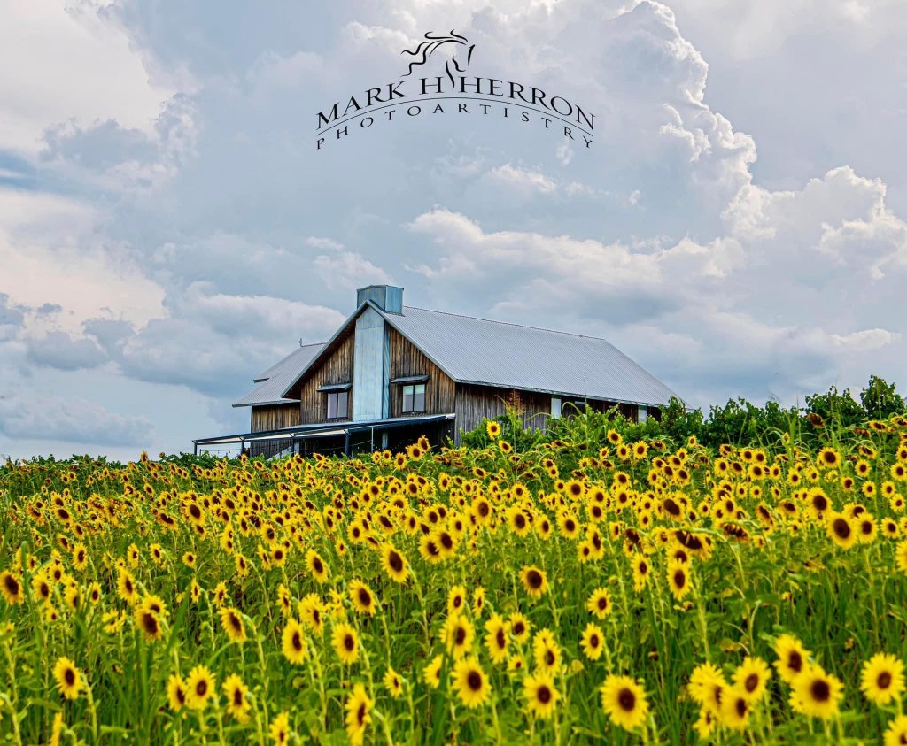 IMG_8633 farmer and frenchman kentucky winery