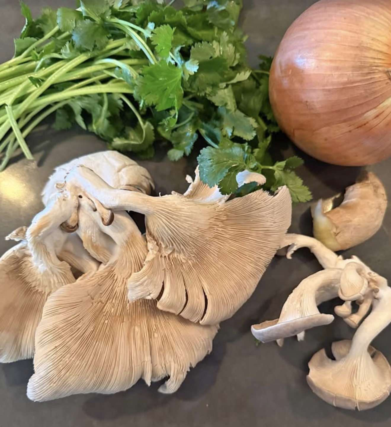locally grown mushrooms in the kitchen of Farmer & frenchman with other kitchen ingredients